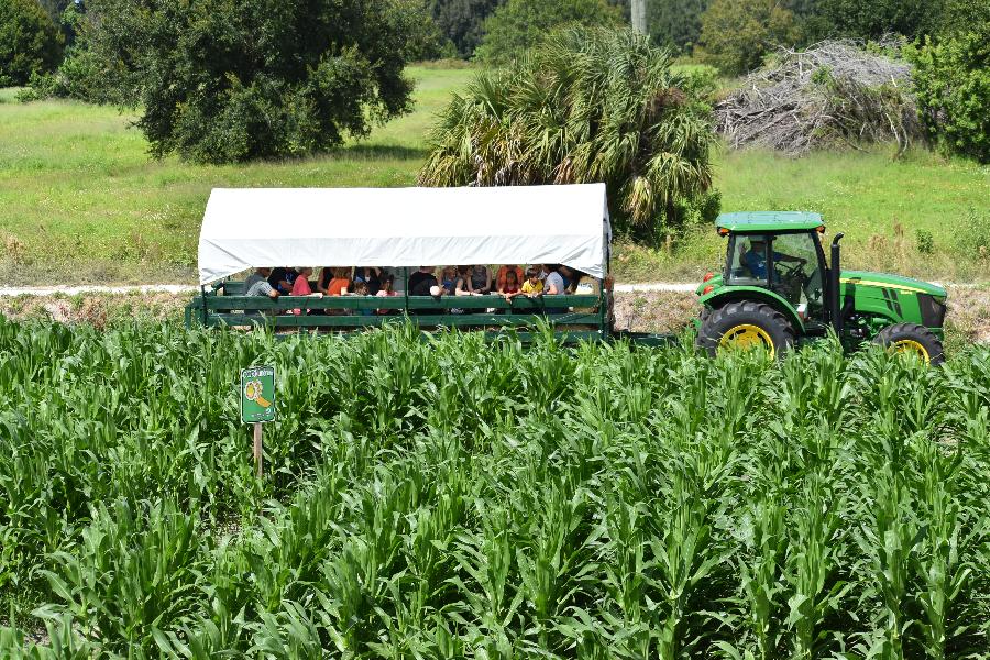 The hayride returns to this year's Countryside Fall Festival & MAZE The hayride returns to this year's Countryside Fall Festival & MAZE